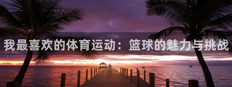 oety欧亿体育官网下载招商：我最喜欢的体育运动：篮