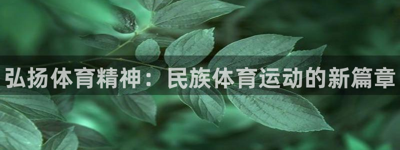 欧亿体育官方正版app集团简介：弘扬体育精神：民族体