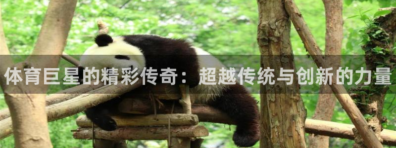 欧亿体育官方正版app集团官网网址：体育巨星的精彩传