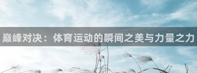 欧亿体育官方正版app集团简介：巅峰对决：体育运动的