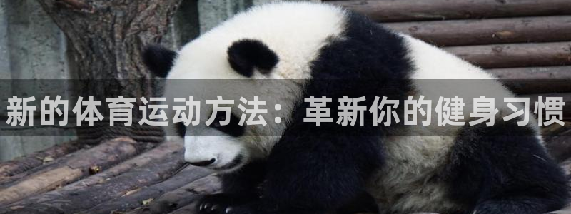 欧亿体育官方平台体育：新的体育运动方法：革新你的健身