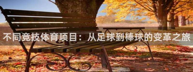欧亿体育官方正版app集团官网首页：不同竞技体育项目：从足球