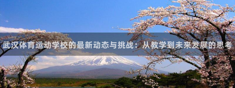 oety欧亿体育官网下载招商电话地址查询：武汉体育运动学校的