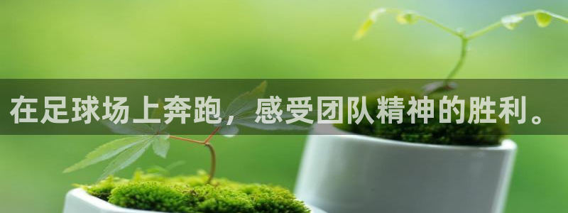 oety欧亿体育官网下载招商电话号码是多少啊