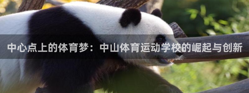 oety欧亿体育官网下载平台注册流程视频：中心点上的体育梦：