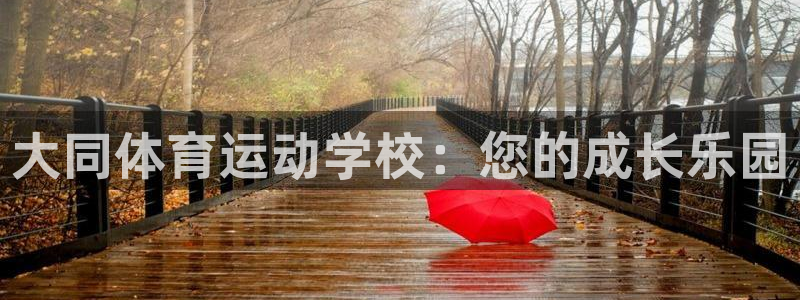 欧亿体育官方正版app集团logo：大同体育运动学校：您的成