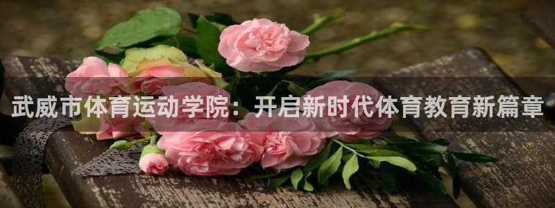 oety欧亿体育官网下载平台注册要钱吗：武威市体育运