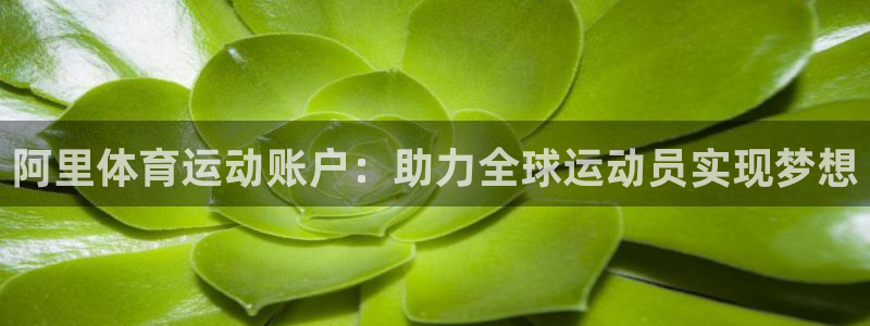 oety欧亿体育官网下载开户：阿里体育运动账户：助力全球运动