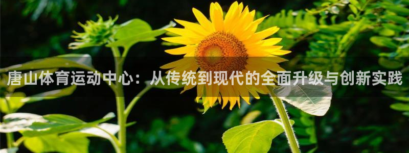 欧亿体育官方平台体育：唐山体育运动中心：从传统到现代
