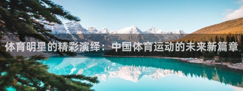 欧亿体育官方正版app集团logo：体育明星的精彩演