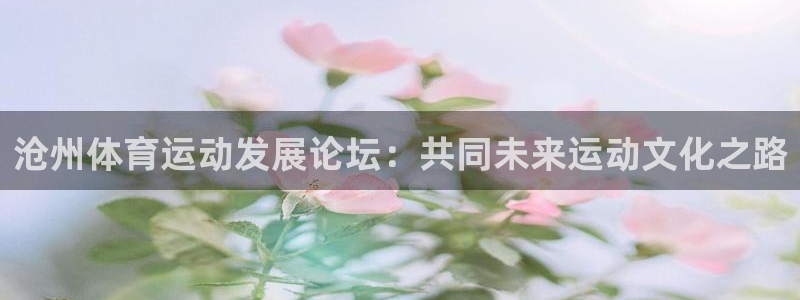 海南oety欧亿体育官网下载：沧州体育运动发展论坛：