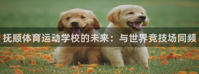 欧亿体育官方正版app新能源:抚顺体育运动学校的未来:与世界