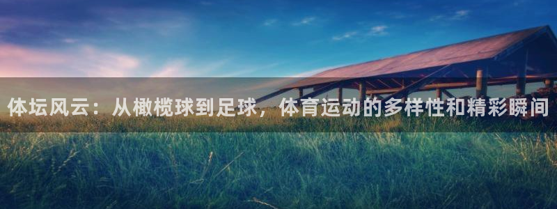 欧亿体育官方正版app五金厂:体坛风云:从橄榄球到足球,体育