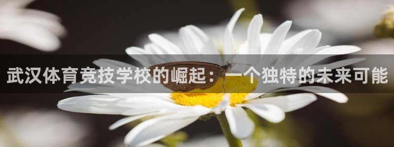 oety欧亿体育官网下载平台假的吗是真的吗：武汉体育
