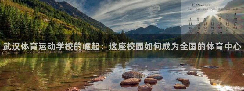 欧亿体育官方正版app新能源：武汉体育运动学校的崛起
