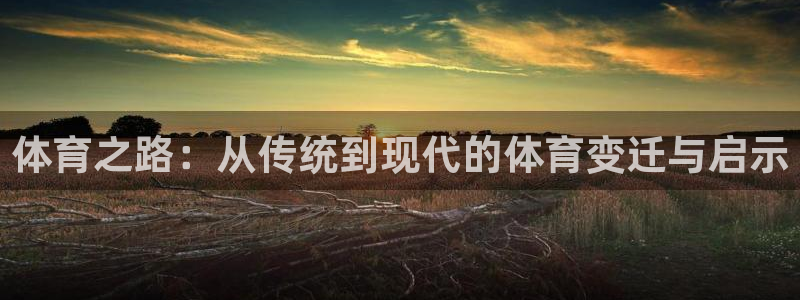 德国欧亿体育官方正版app集团：体育之路：从传统到现